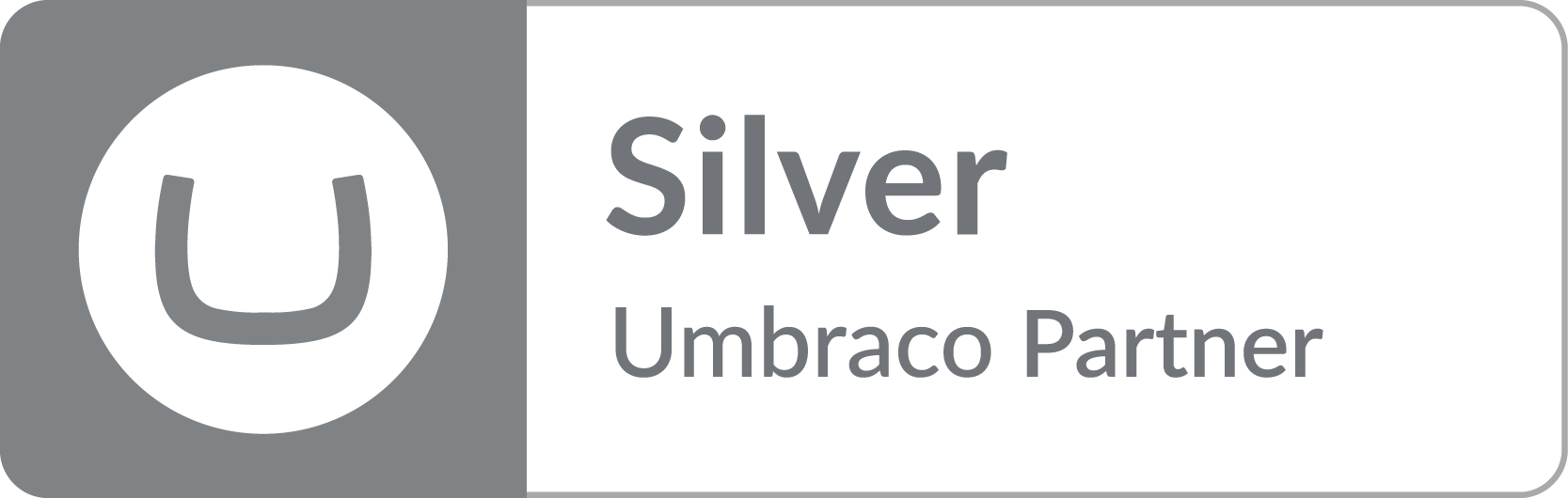 Silver Horizontal Partner Badge